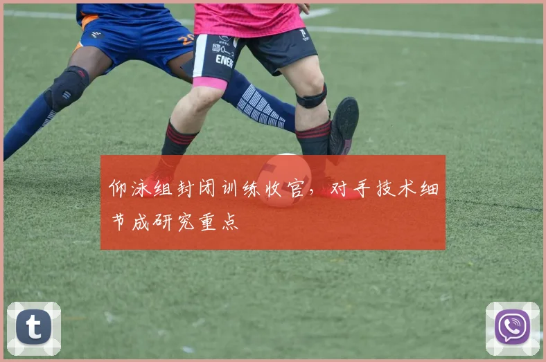 仰泳组封闭训练收官，对手技术细节成研究重点 - 2026世界杯
