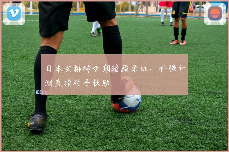 日本女排转会期暗藏杀机，补强计划直指对手软肋