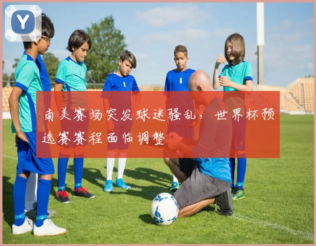 南美赛场突发球迷骚乱，世界杯预选赛赛程面临调整